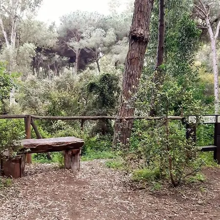 Malaga, Andalucia, Marbella - Mijas Costa, Primera Linea De Playa * Sitio de Calahonda