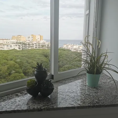 Apartment Malaga, Andalucia, Marbella - Mijas Costa, Primera Linea De Playa *